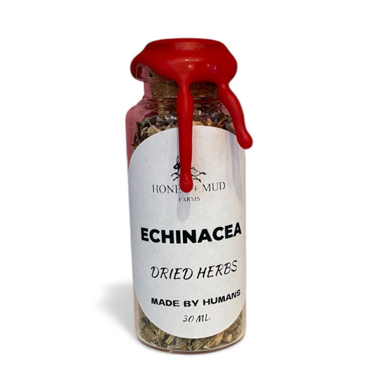 Echinacea