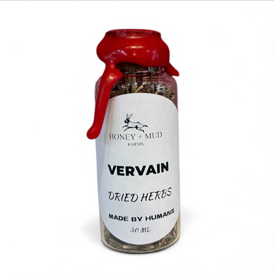 Vervain