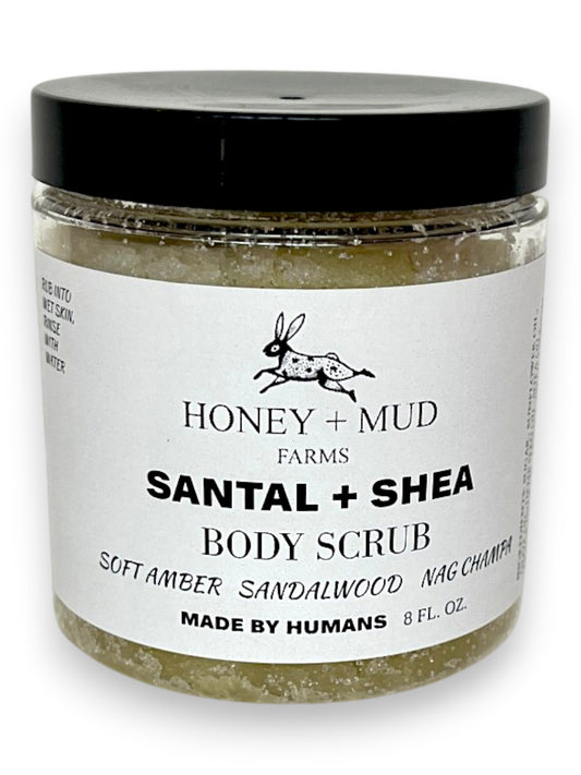 Santal + Shea Body Scrub — 8 oz